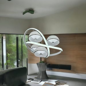 Photoroom_20240613_012639