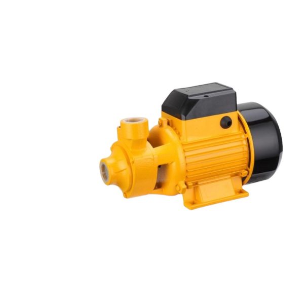 WhatsApp Image 2024-06-11 at 19.20.32_1e8c499d