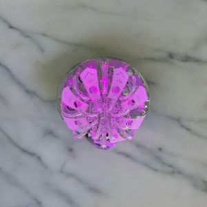 a7020396-8f70-4de9-aa34-8c805acc1eba